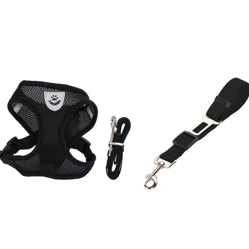 2-in-1 Pet Car Seat Belt & Leash - Black 2