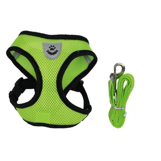 2-in-1 Pet Car Seat Belt & Leash - Green