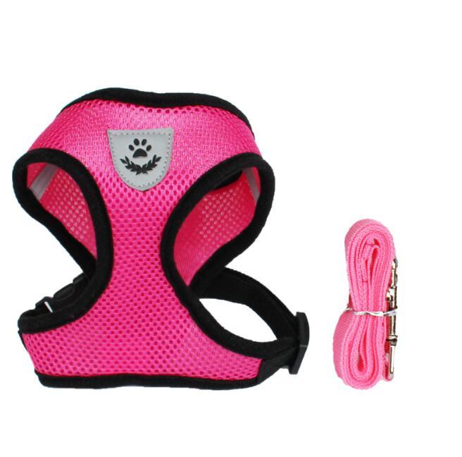 2-in-1 Pet Car Seat Belt & Leash - Rose Red