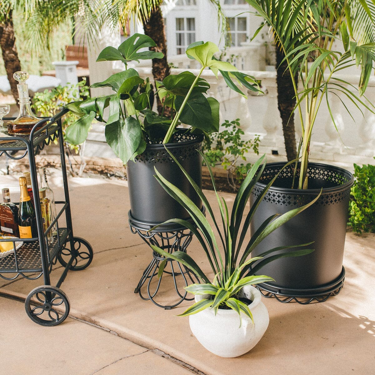The Al Fresco Small Planter & Stand - Image 3