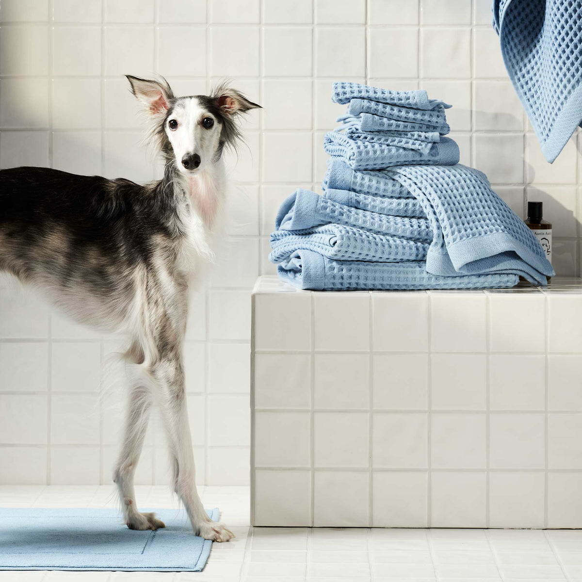 Dreamweave Waffle Hand Towels - Image 11