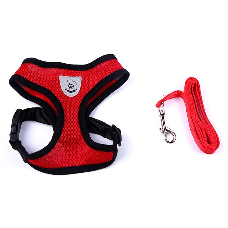 2-in-1 Pet Car Seat Belt & Leash - Red