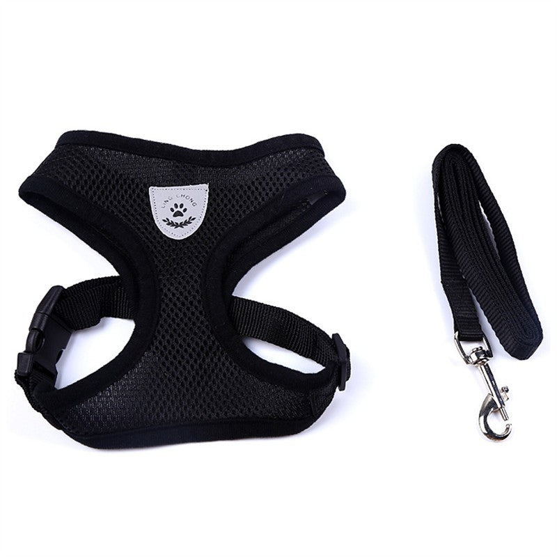 2-in-1 Pet Car Seat Belt & Leash - Black