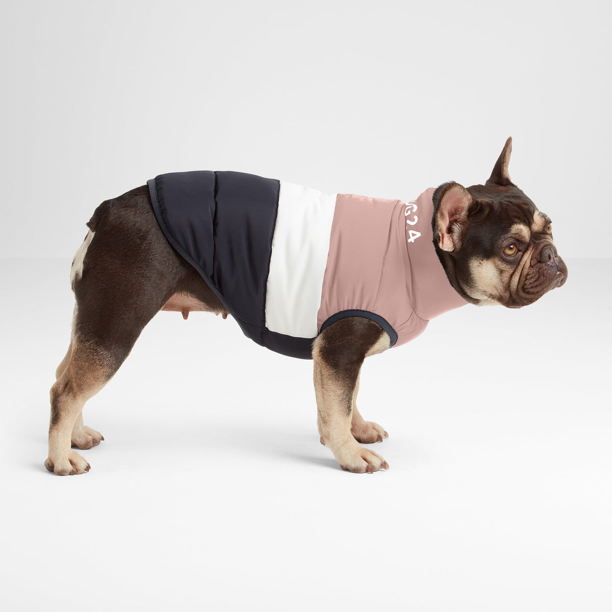 Fetch Padded Dog Coat XS - Faded Pink/Ice Grey/Washed Blue - Image 2