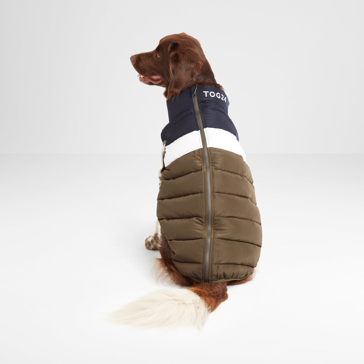 Fetch Padded Dog Coat - Faded Khaki/Dark Indigo/Optic White - Image 2