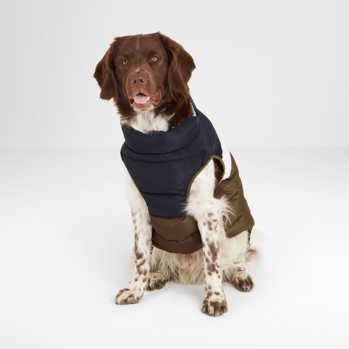 Fetch Padded Dog Coat - Faded Khaki/Dark Indigo/Optic White - Image 3