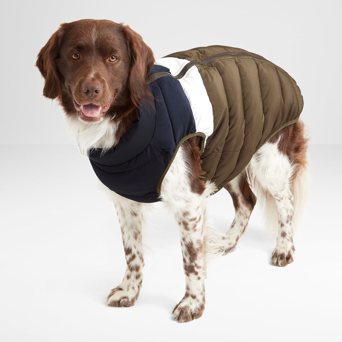 Fetch Padded Dog Coat - Faded Khaki/Dark Indigo/Optic White - Image 4