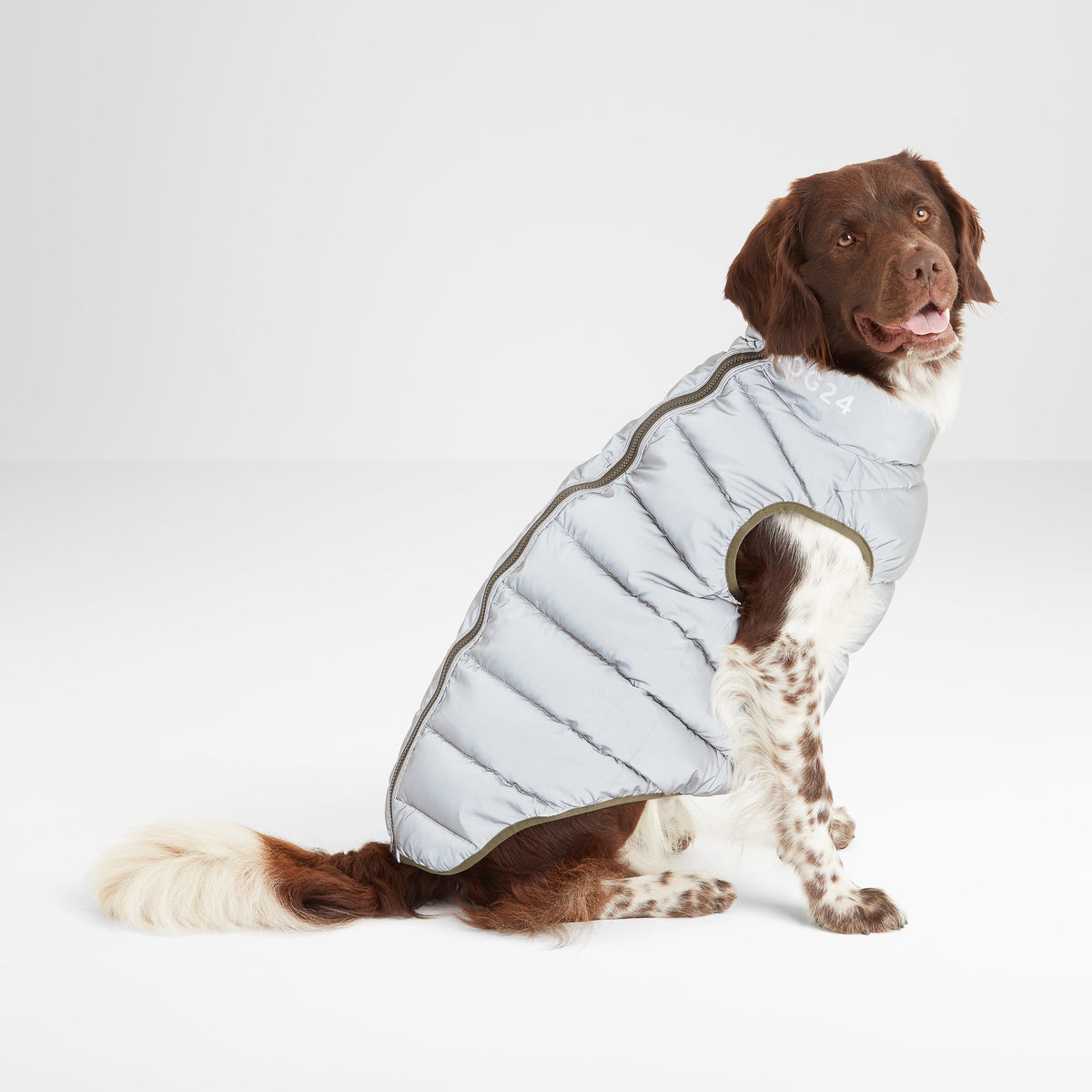 Fetch Padded Dog Coat - Faded Khaki/Dark Indigo/Optic White - Image 5
