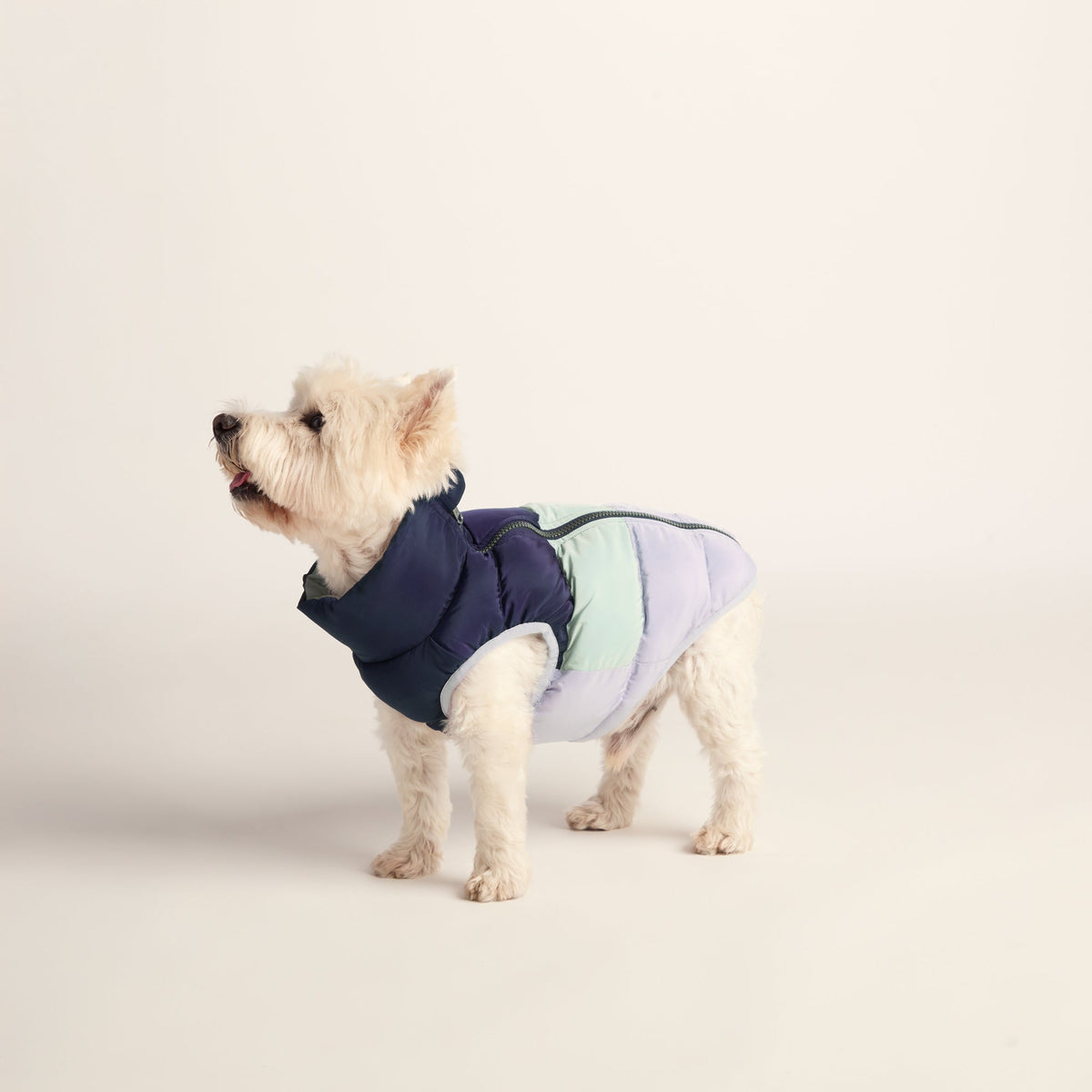 Fetch Padded Dog Coat S - Oxford Blue/Light Mist/Lavender Grey - Image 4