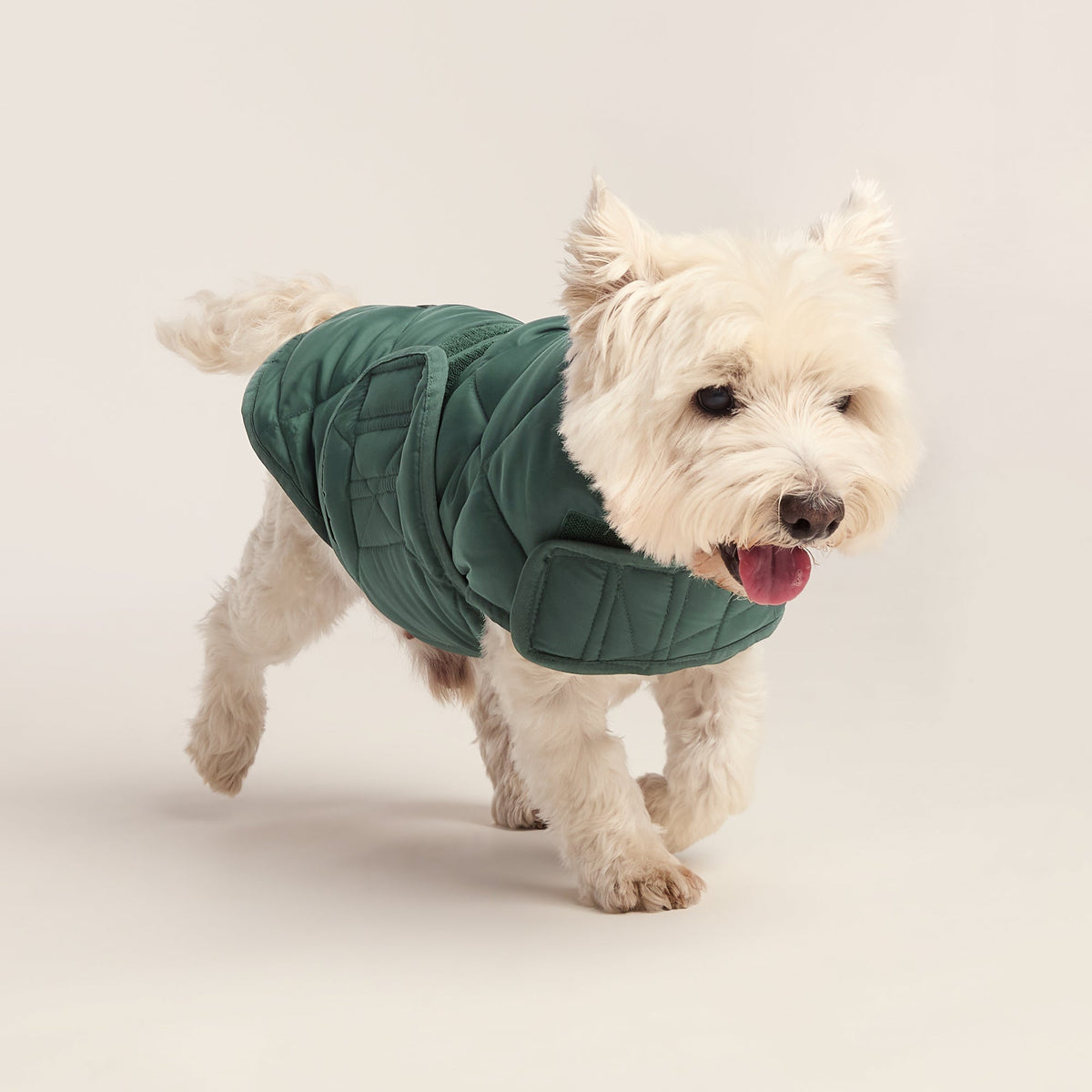 Fido Padded Dog Coat S - Racing Green - Image 3