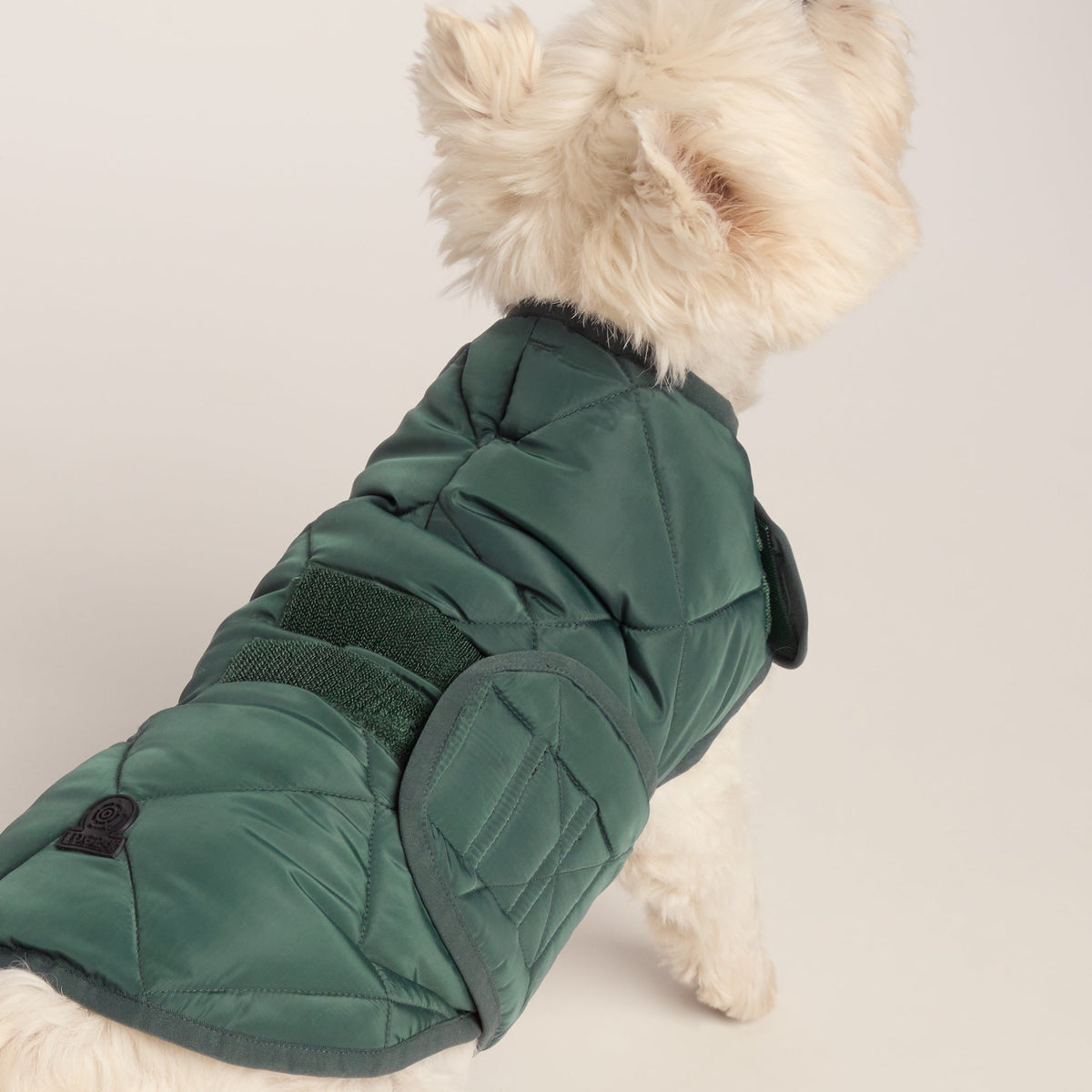 Fido Padded Dog Coat S - Racing Green - Image 4