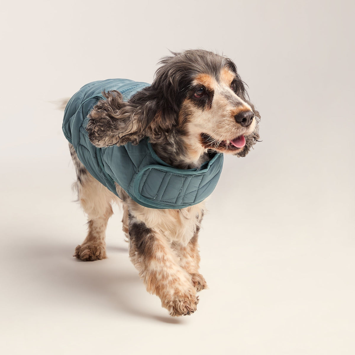 Fido Padded Dog Coat M - Graphite - Image 5