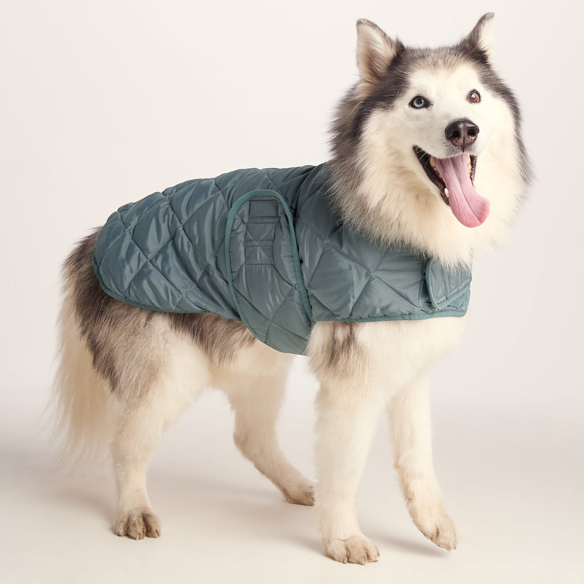 Fido Padded Dog Coat L - Graphite - Image 5
