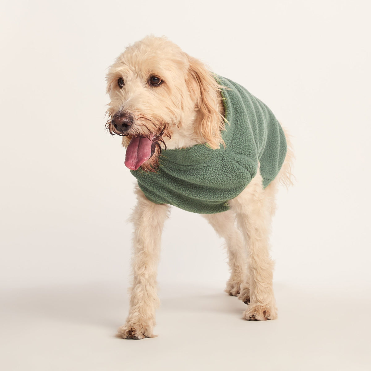 Rover Sherpa Dog Coat XL - Light Forest - Image 5