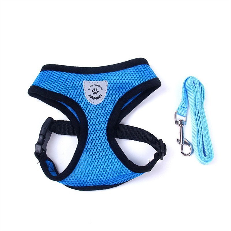 2-in-1 Pet Car Seat Belt & Leash - Blue