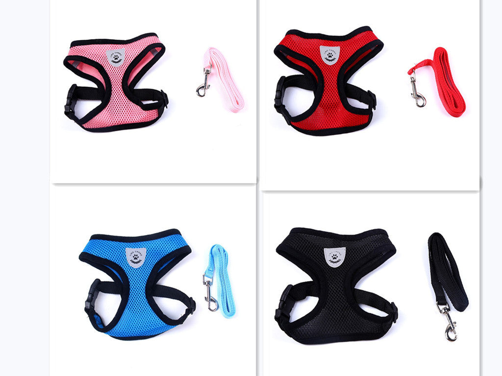 2-in-1 Pet Car Seat Belt & Leash - Combination