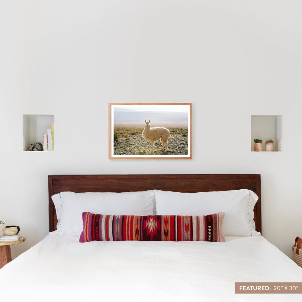 Atacama Desert - 20'' x 30'' / Natural Frame