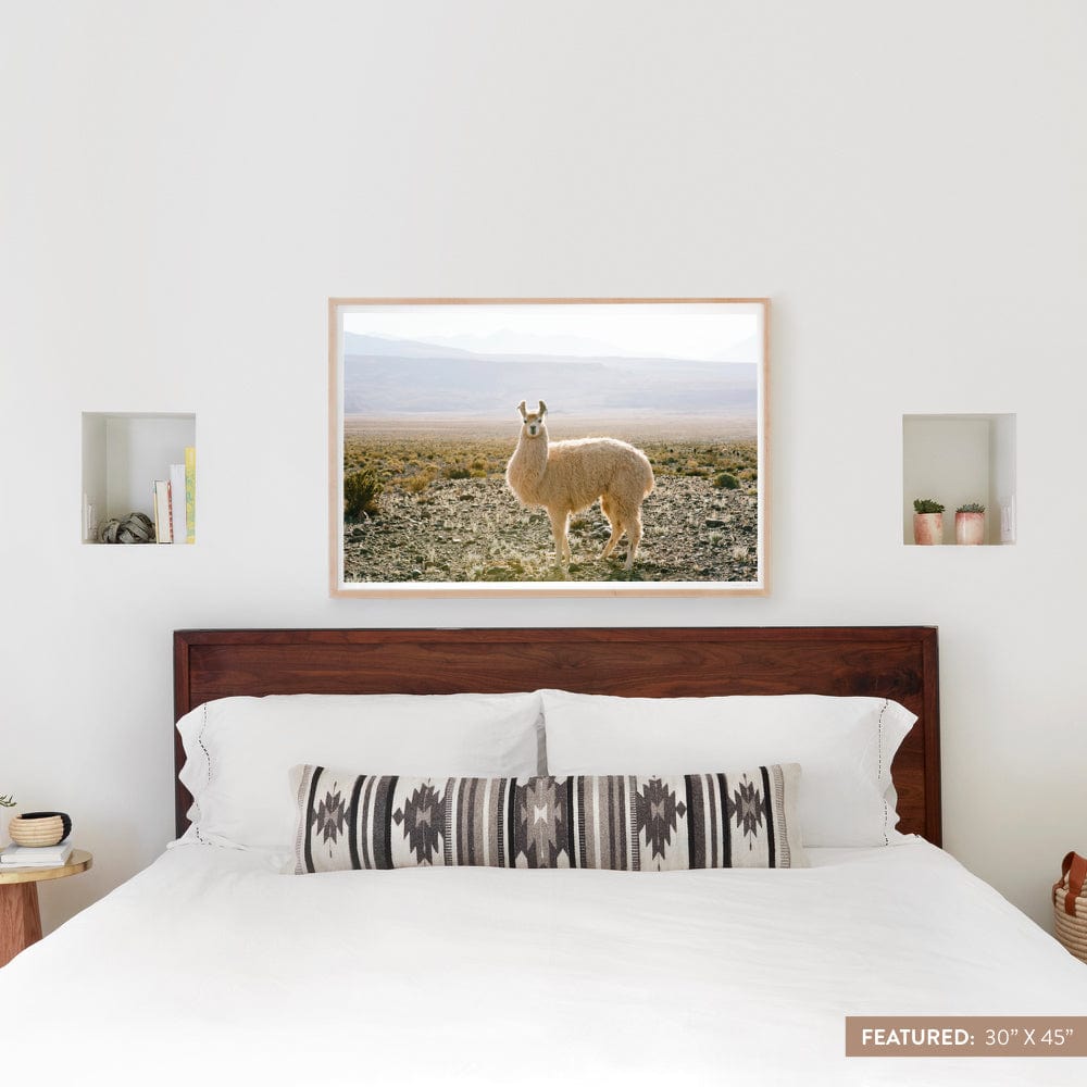 Atacama Desert - 30'' x 45'' / Natural Frame