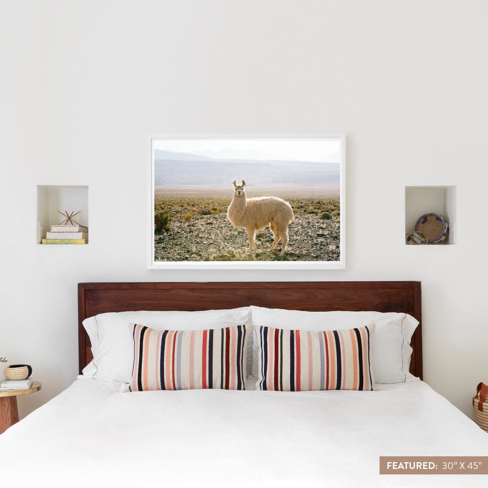 Atacama Desert - 30'' x 45'' / White Frame