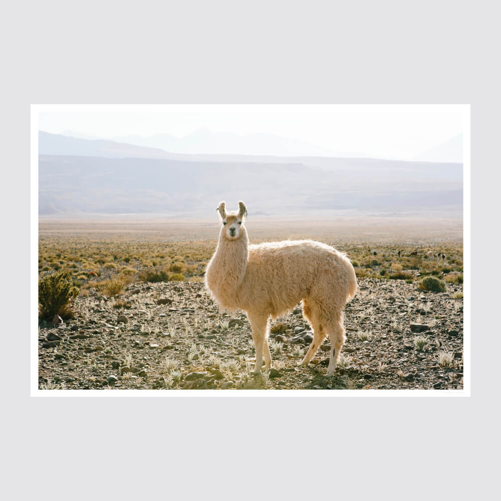Atacama Desert