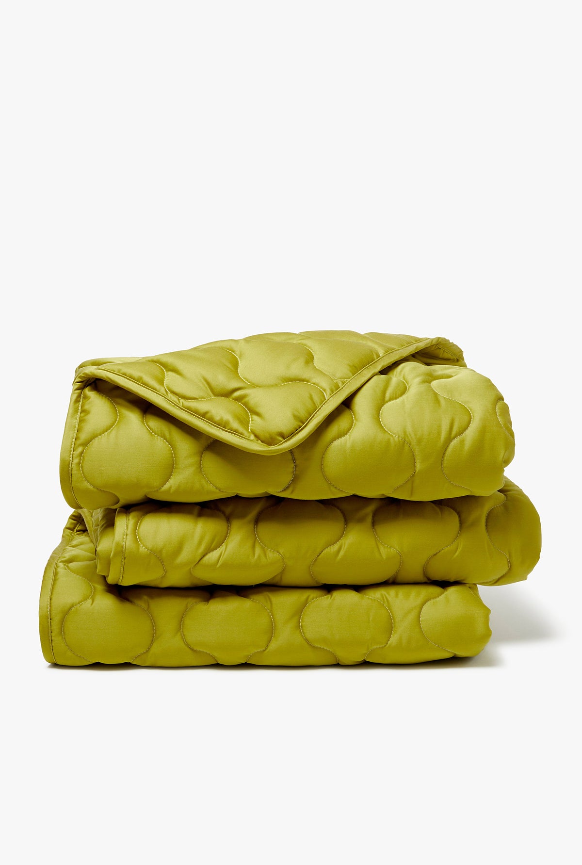 Puffer Blanket - Iguana
