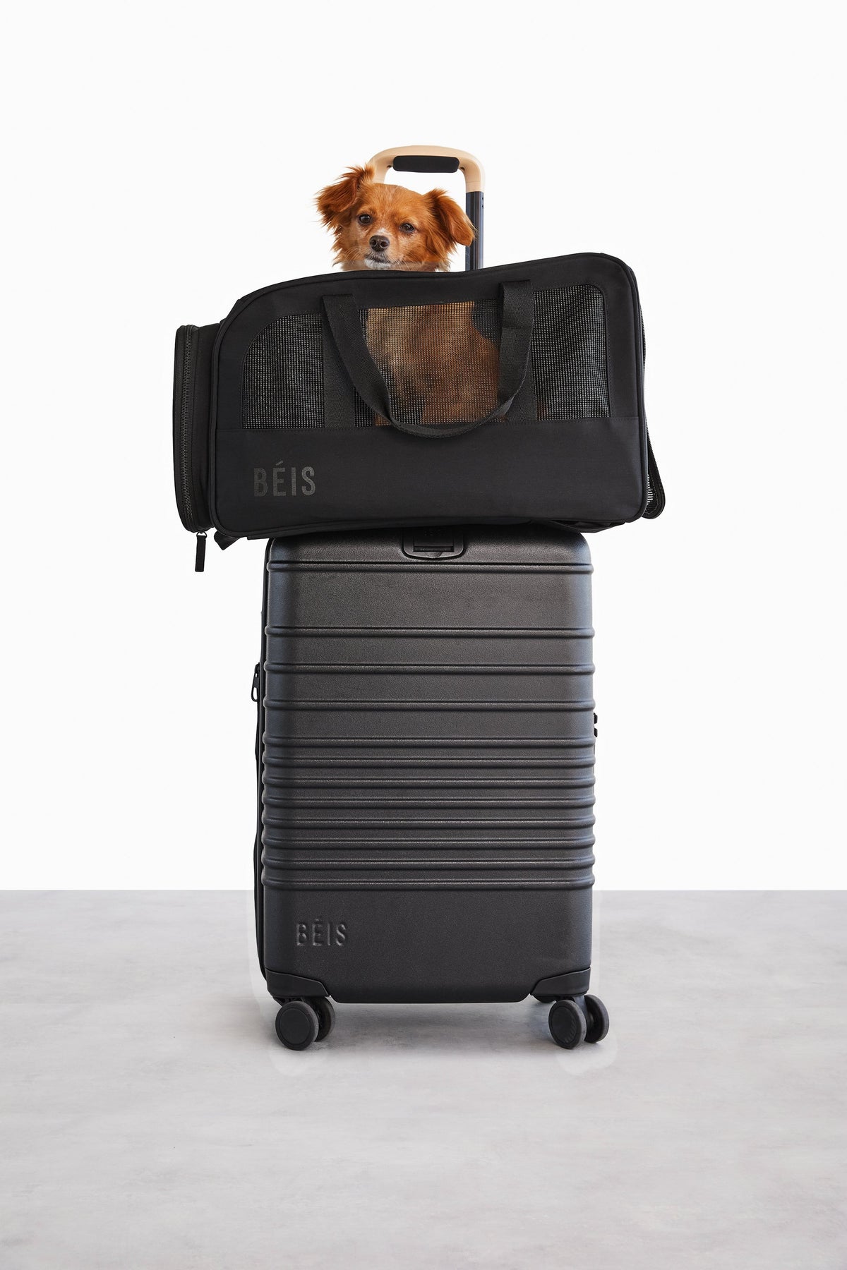 Resale The Regulation Pet Carry-on in Black - Image 9