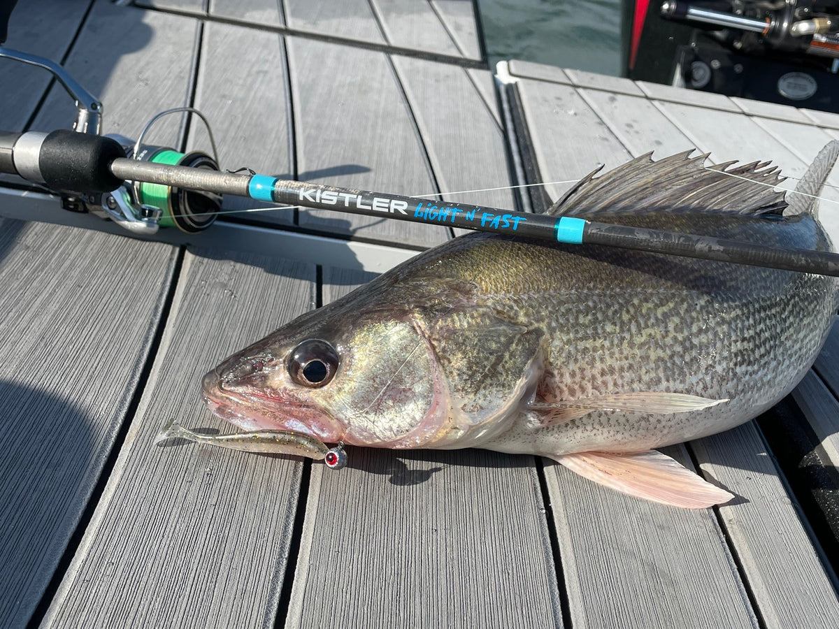 Light n' Fast Fishing Rod - Image 13