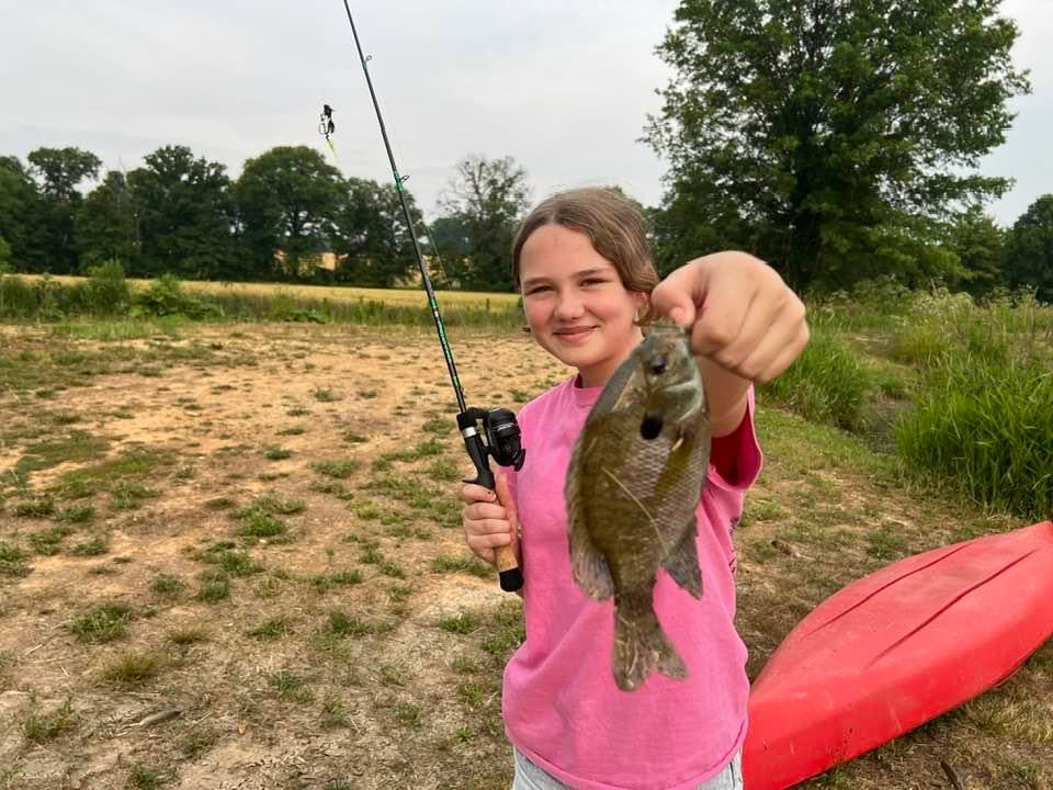 Grasshopper Fishing Rod - Image 10