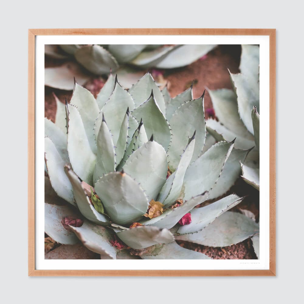 Jardin - Natural Frame