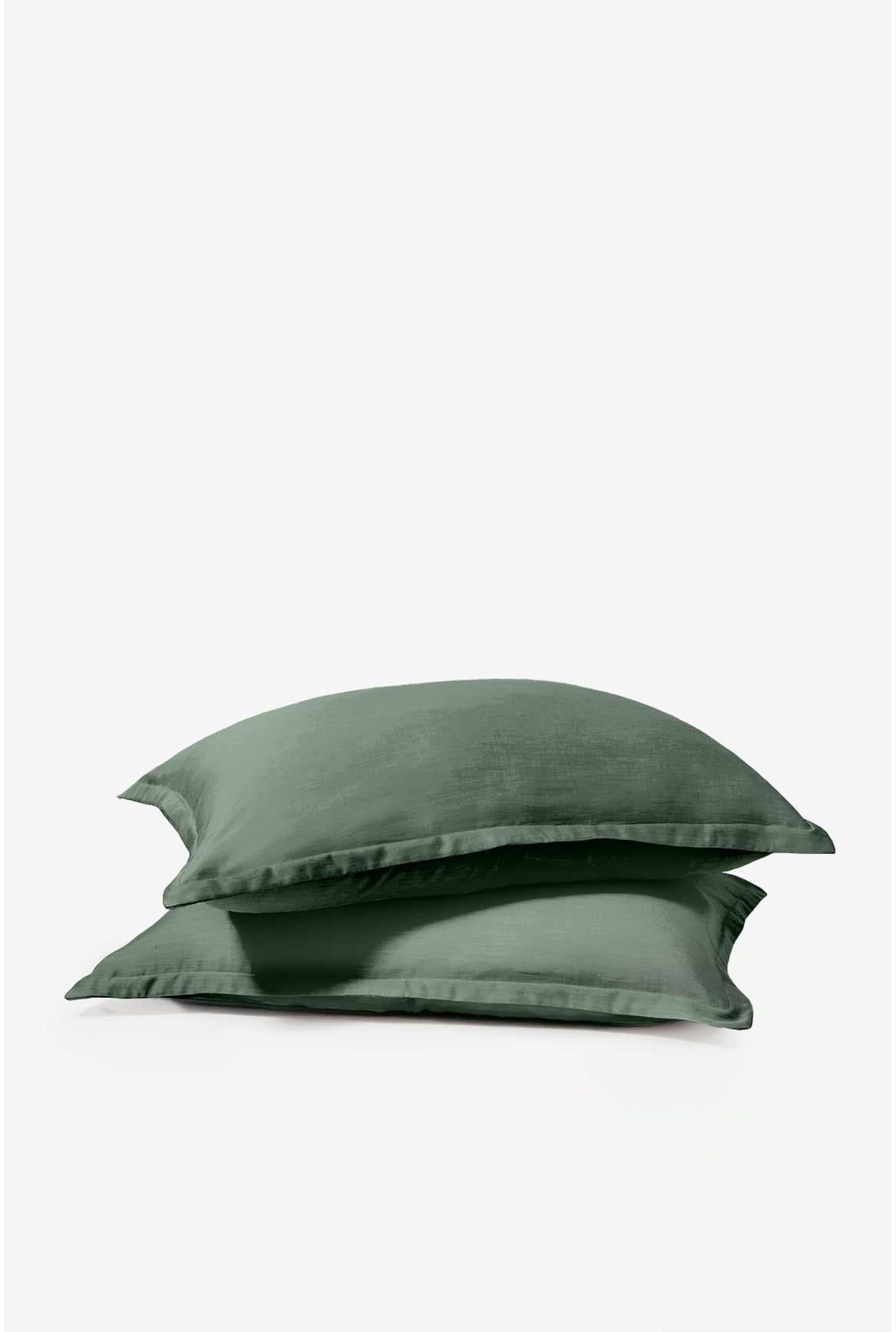 Breeze Shams - Monstera