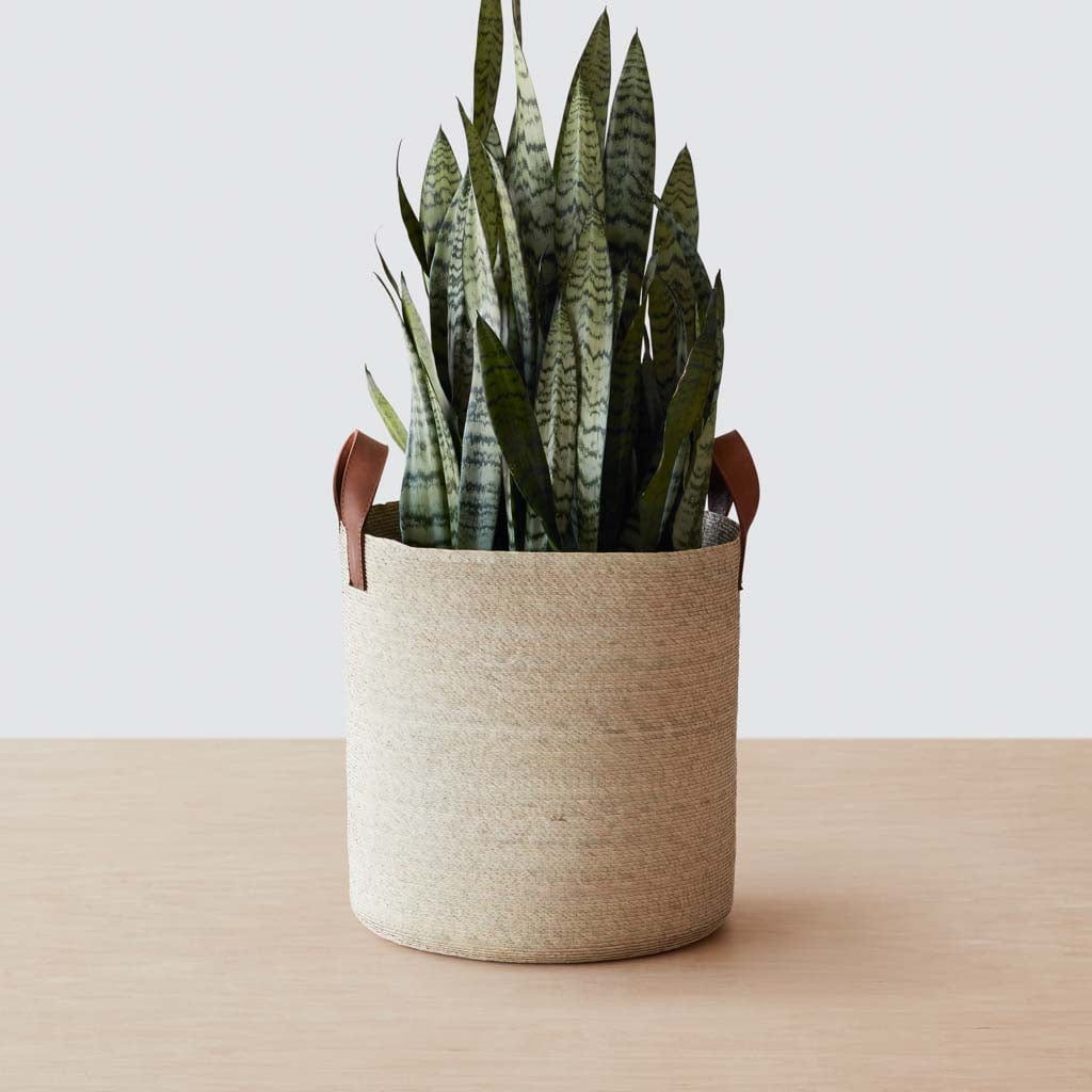 Mercado Storage Baskets - Round - Medium