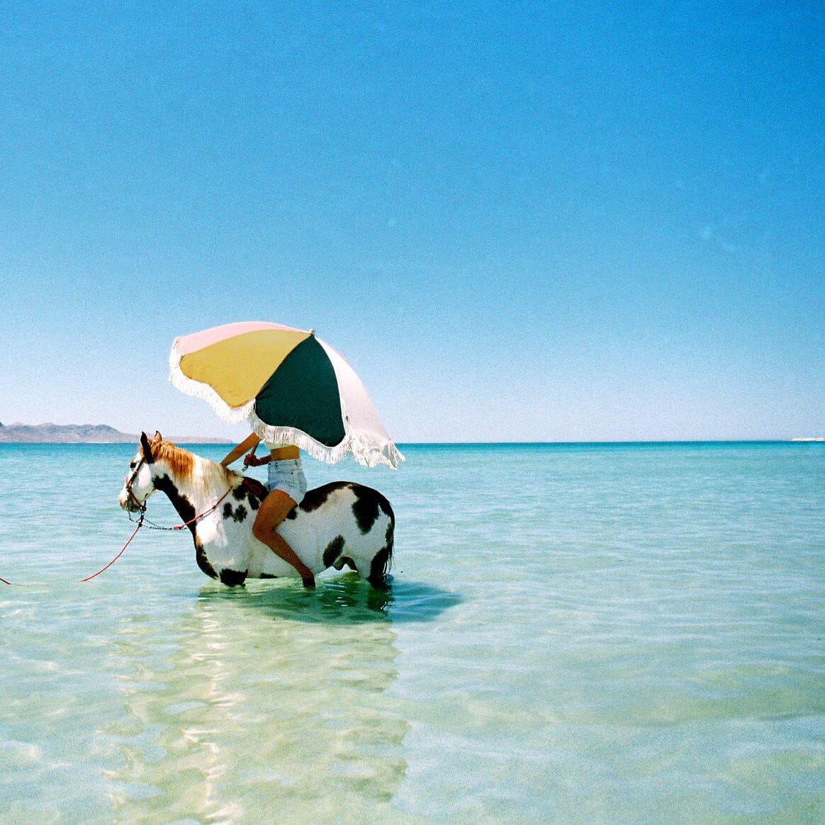 The Premium Beach Umbrella - Image 2