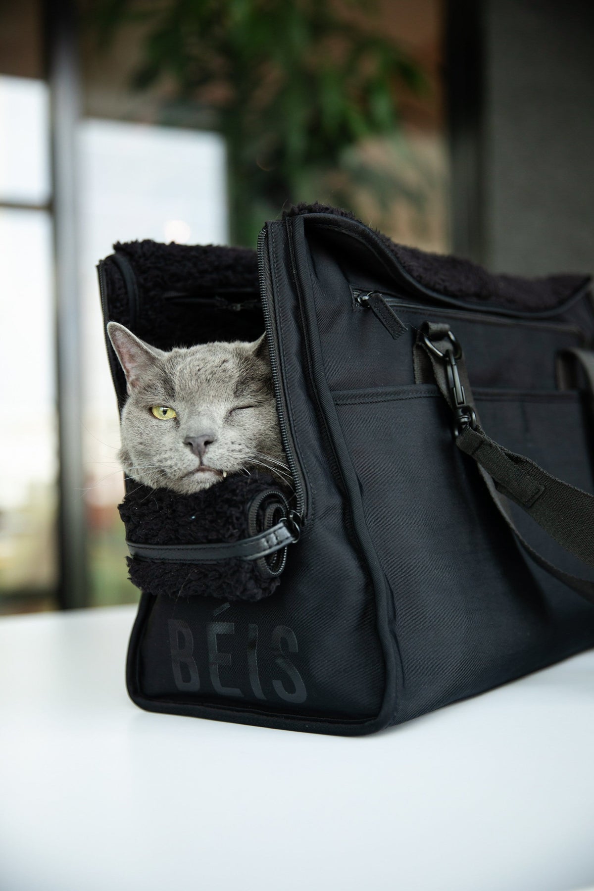 Resale The Everyday Pet Tote in Black - Image 13