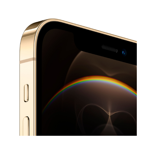 iPhone 12 Pro Max Gold 256GB (Unlocked) - Image 3