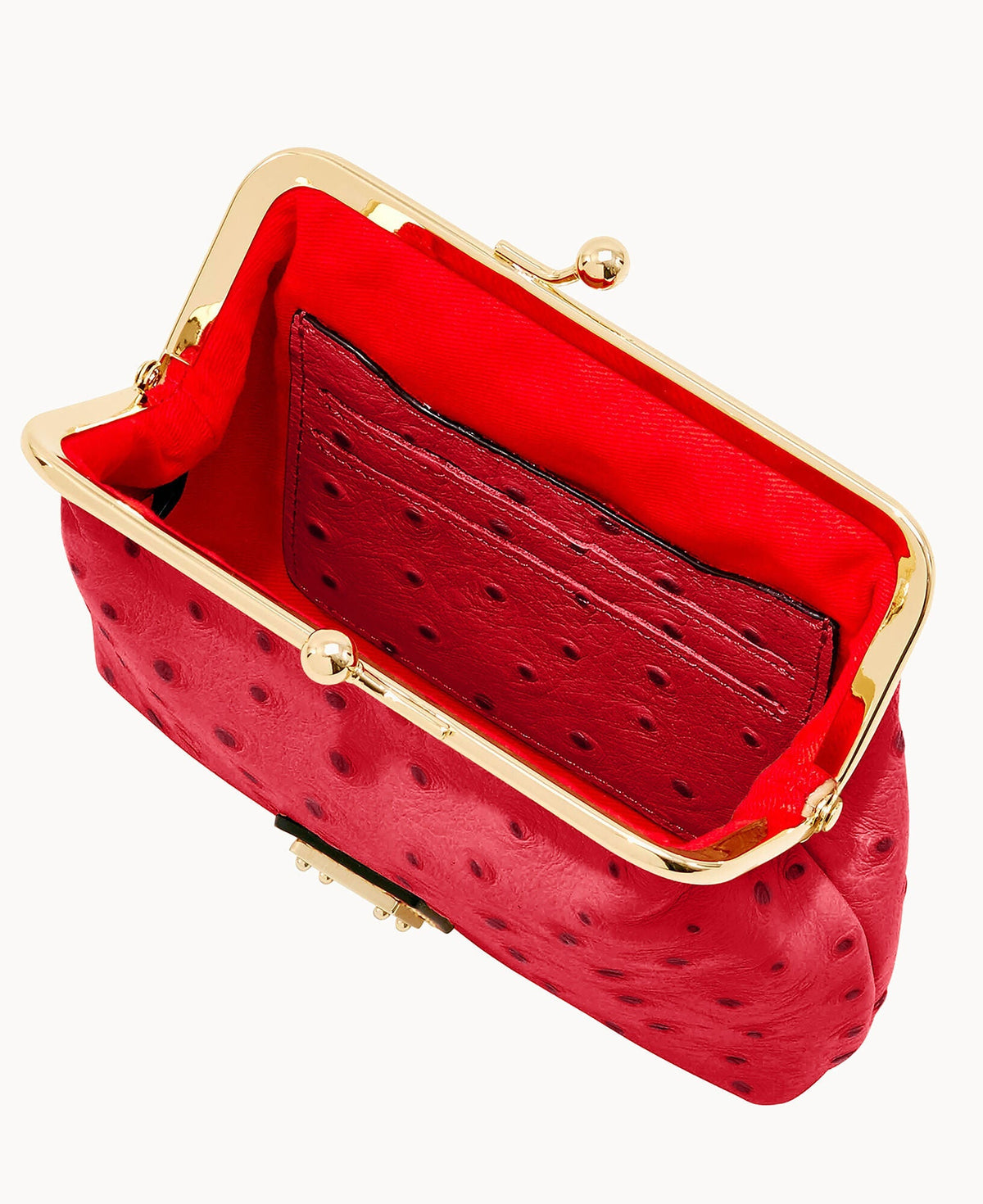 Ostrich Large Framed Purse - Image 63