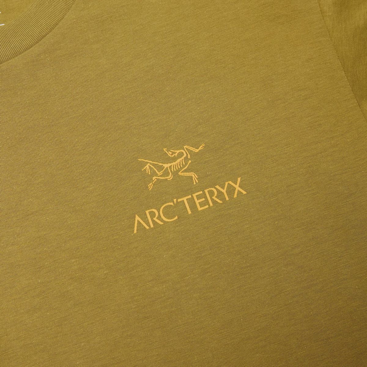 Arc'teryx Kragg SL Cotton Bird Word SS M (Bracken/Larch) - Image 4