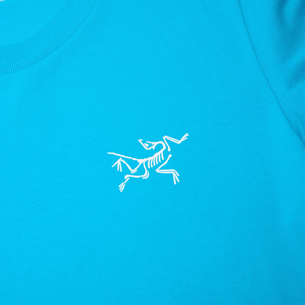 Arc'teryx Kragg Cotton LS M (Aquaculture) - Image 4