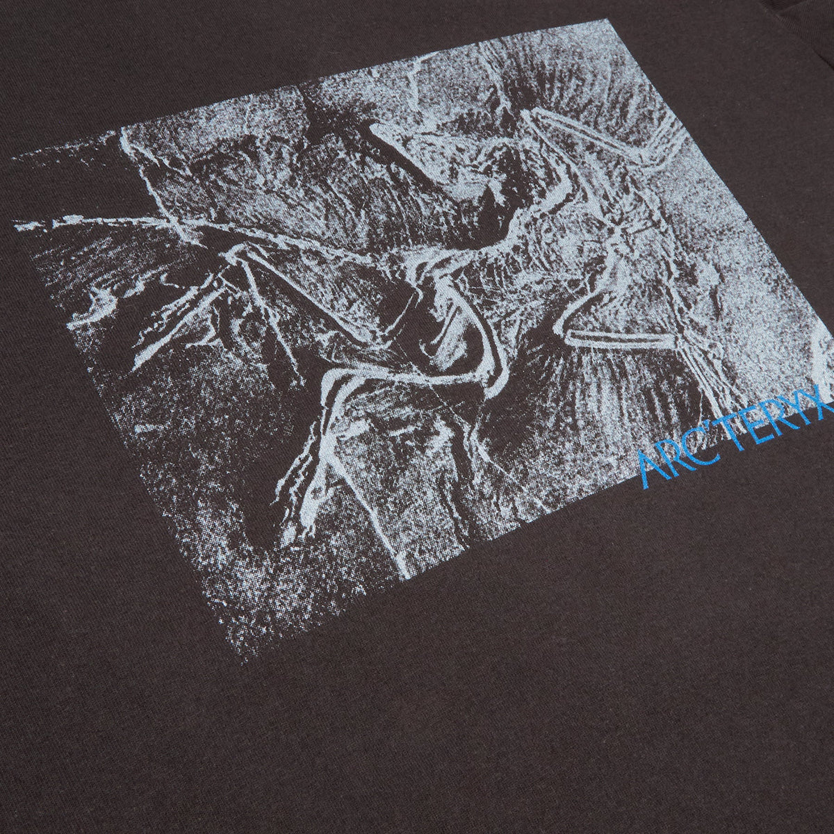 Arc'teryx Kragg Cotton Lithographica SS M (Black) - Image 4