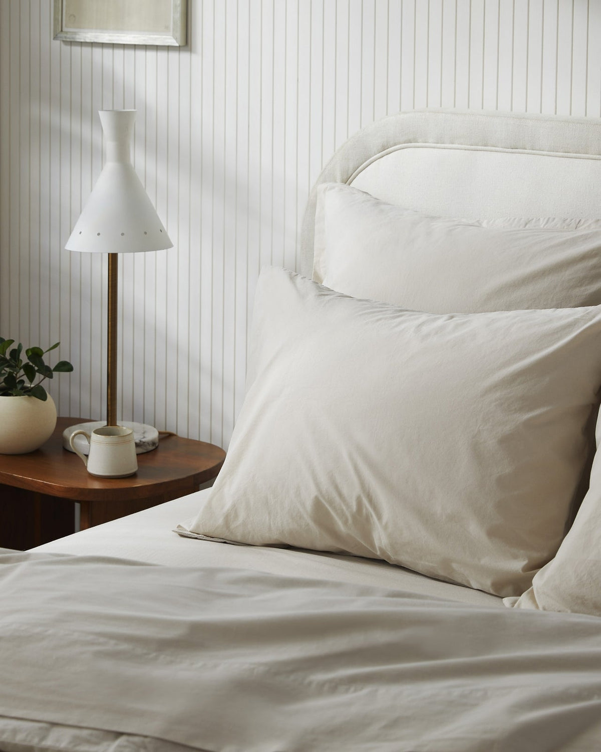 Brushed Cotton Venice Set - Bone K/CK - Image 2