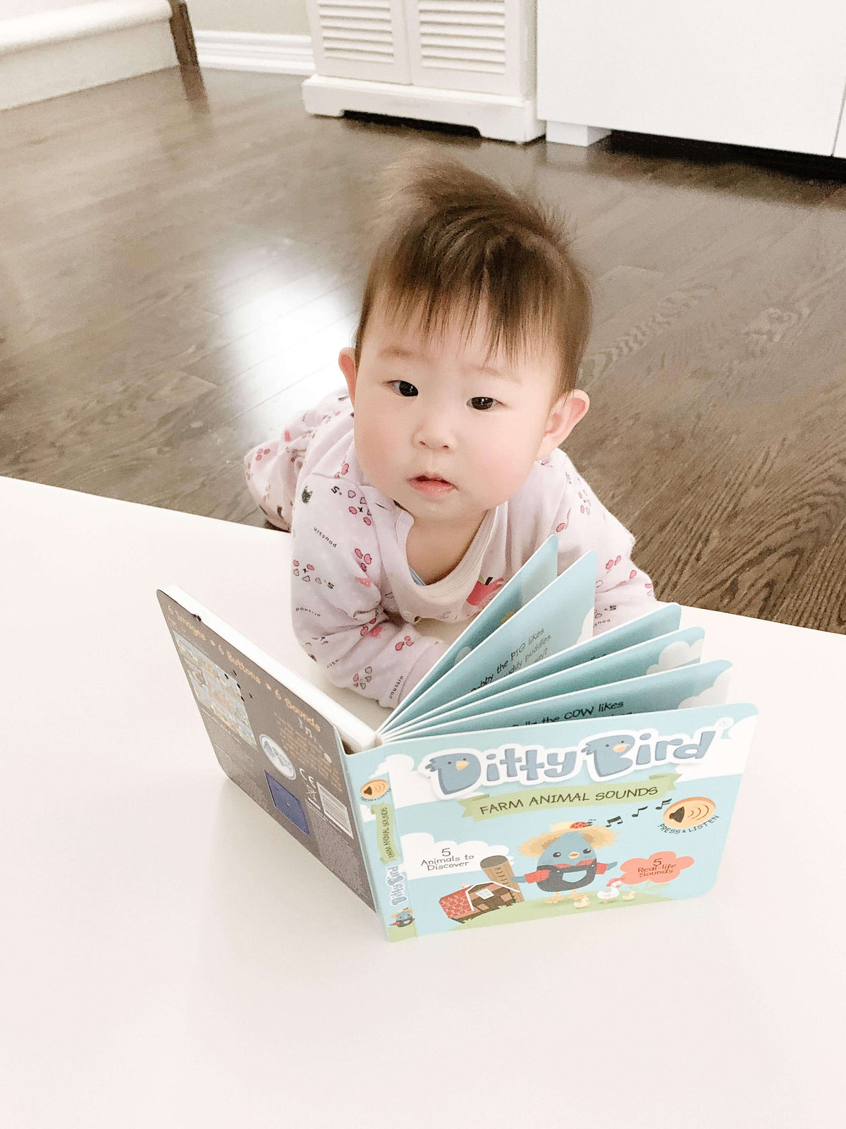 Ditty Bird Musical Books - Farm Animal Sounds - Image 8