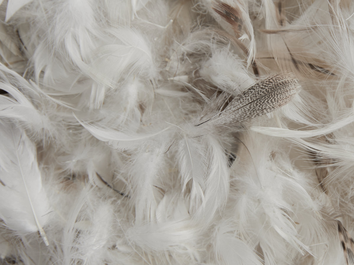 Feather Euro Pillow Insert - Image 3