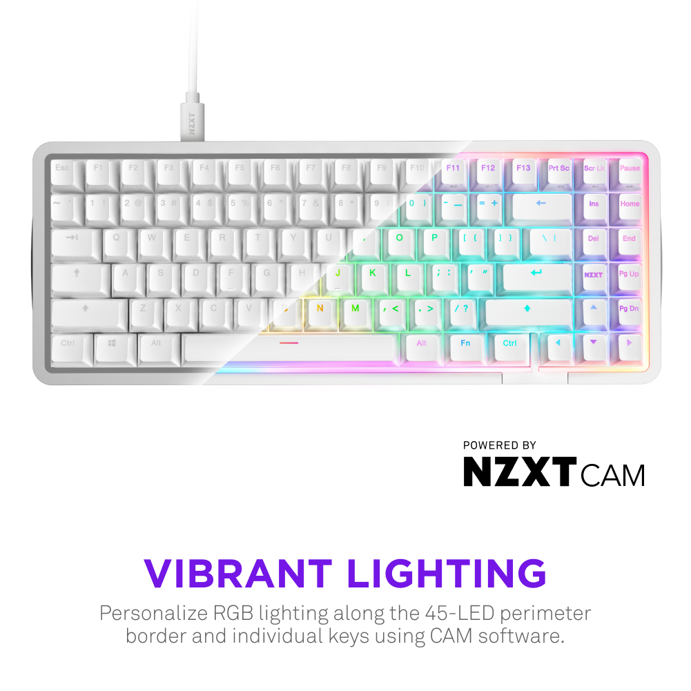Function Elite MiniTKL Keyboard - Image 7