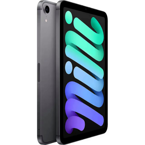 iPad mini (6th Gen, 2021) 256GB - Space Gray (Wi-Fi + Cellular) - Image 2