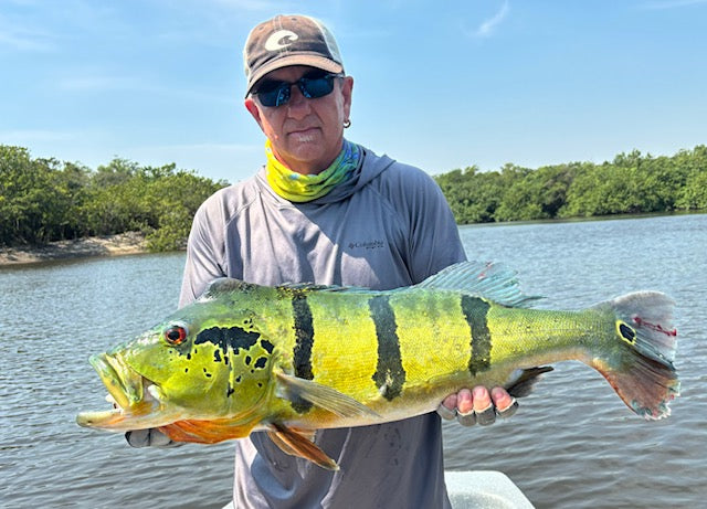 World Travel Series Fishing Rod - Image 14