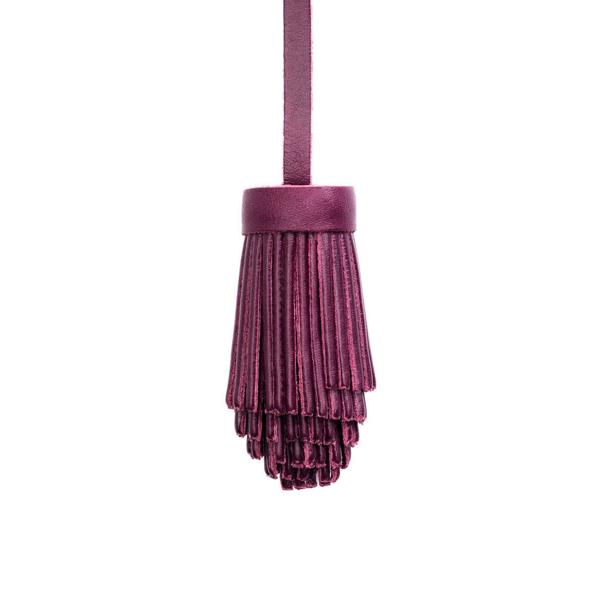 Pom Tassel - Lollipop