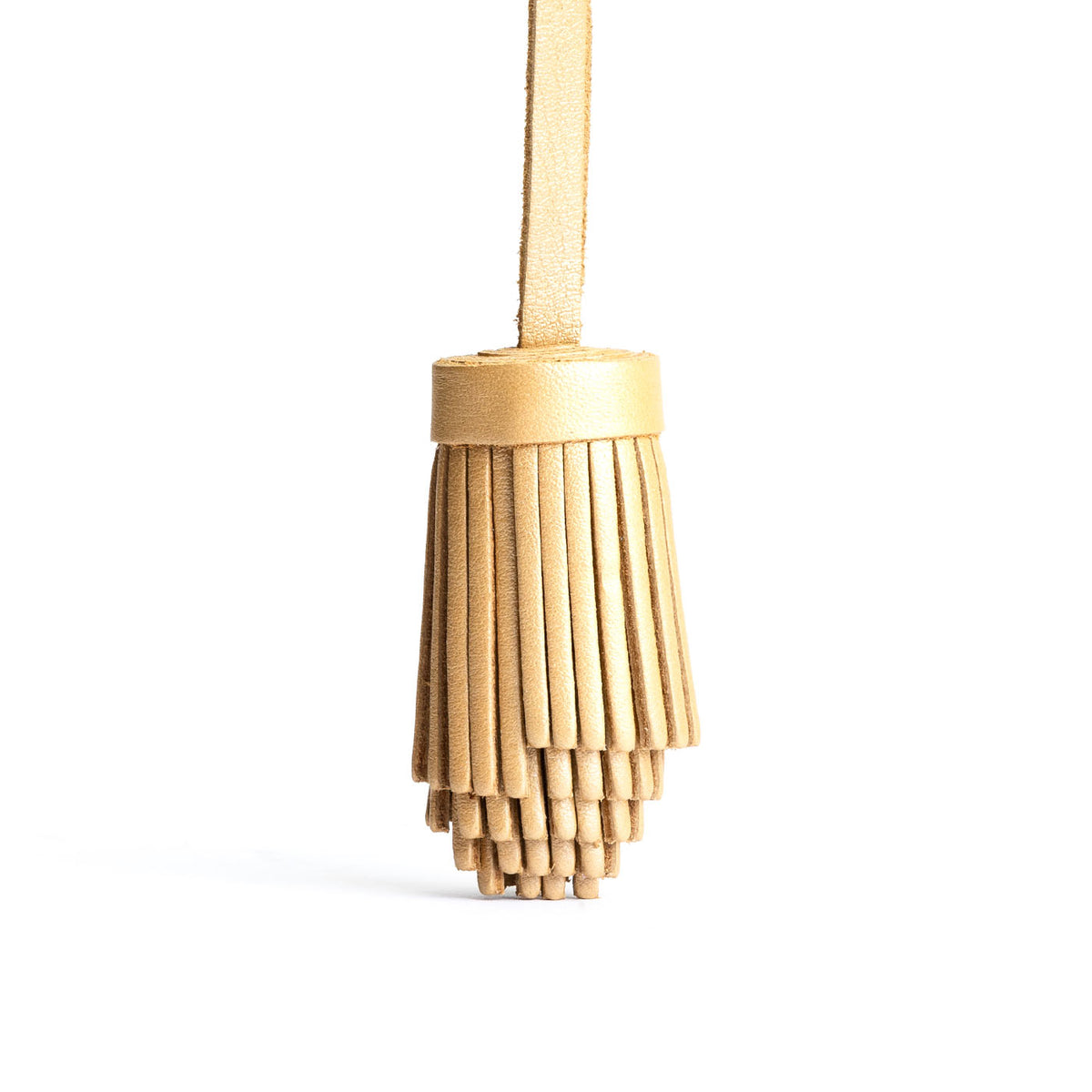 Pom Tassel - Champagne